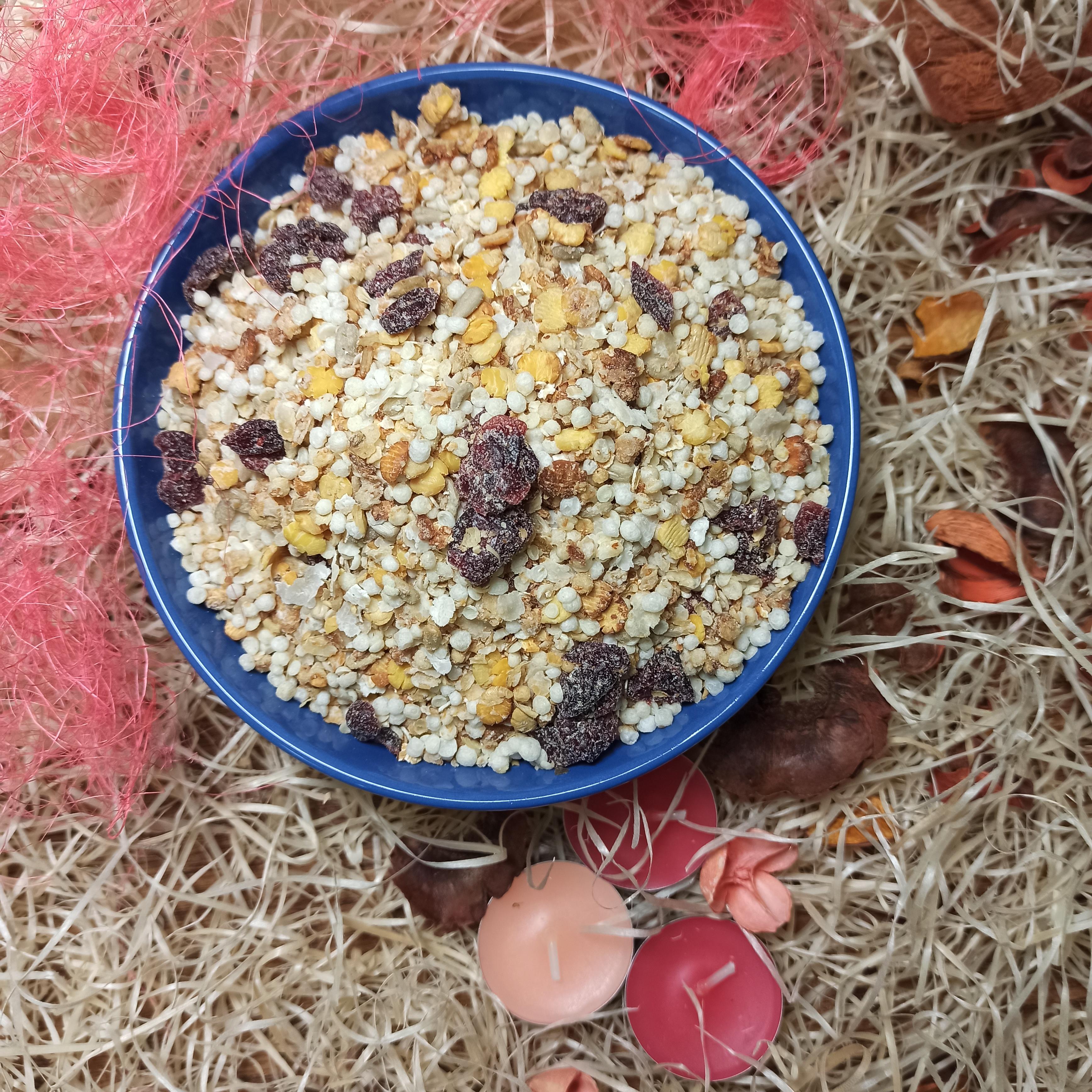 Granola brusinková bez lepku 500g